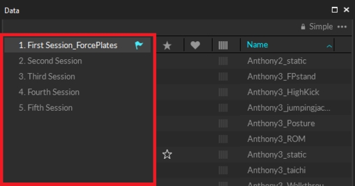 A screenshot from Motive of the Data pane with the list of loaded session folders highlighted. The current session folder is noted with a flag icon.