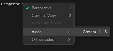 A screenshot from Motive of the menu from the Perspective viewport that has the reference video options expanded. The "View from Selected" option is grayed out.