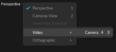 A screenshot from Motive of the menu from the Perspective viewport that has the reference video options expanded. The "View from Selected" option is grayed out.