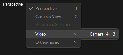 the Perspective pane menu with the Video option selected and the available reference cameras shown.