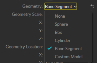 A screenshot of the selection options when attaching Geometry to a skeleton bone segment.
